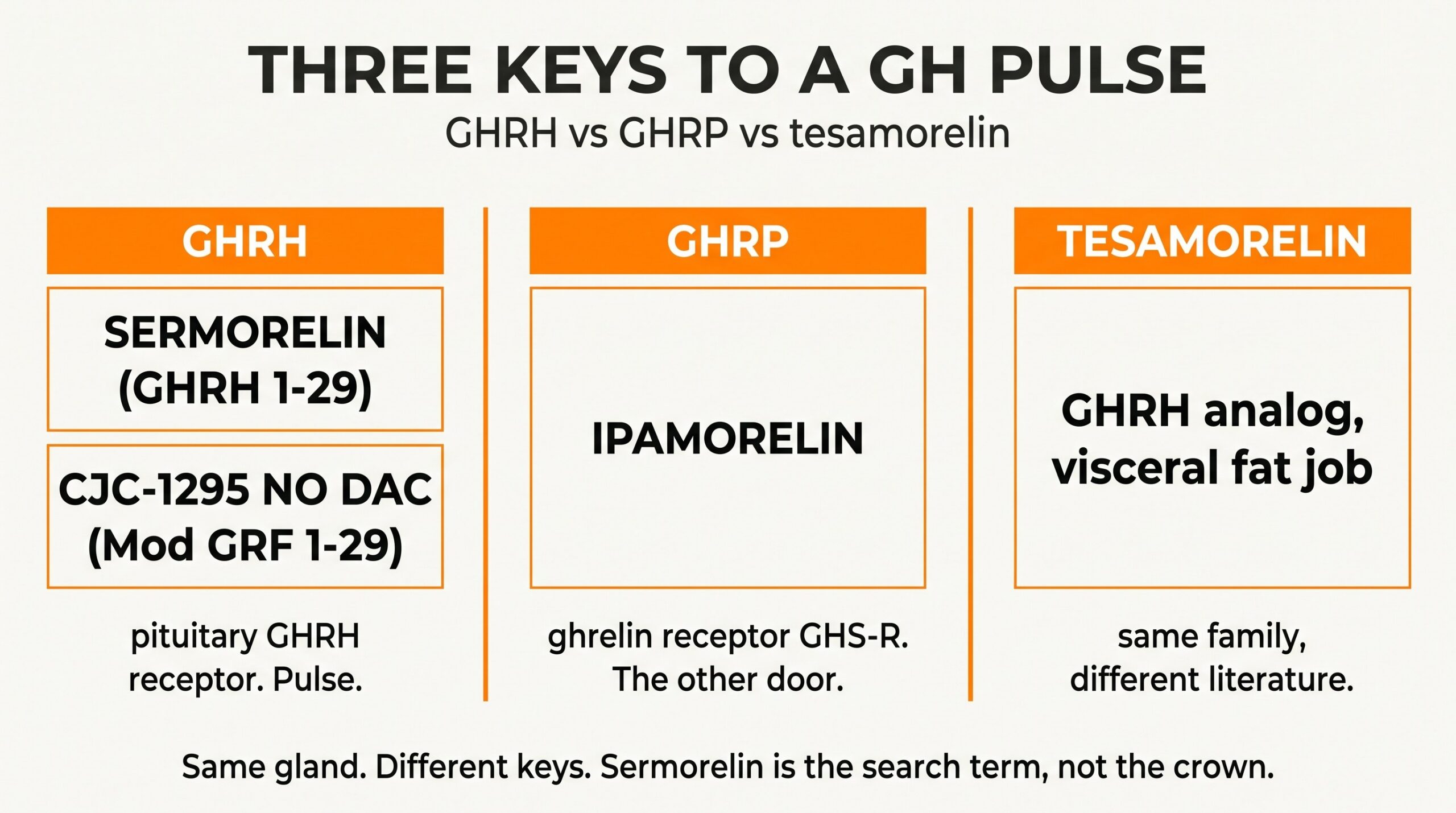 Teaching diagram of three keys to a GH pulse: GHRH (sermorelin and CJC-1295 no DAC) versus GHRP (ipamorelin) versus tesamorelin, a GHRH analog with a visceral-fat literature.