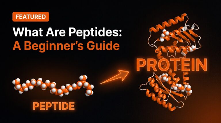 Teaching thumbnail: a short peptide chain next to a longer folded protein.