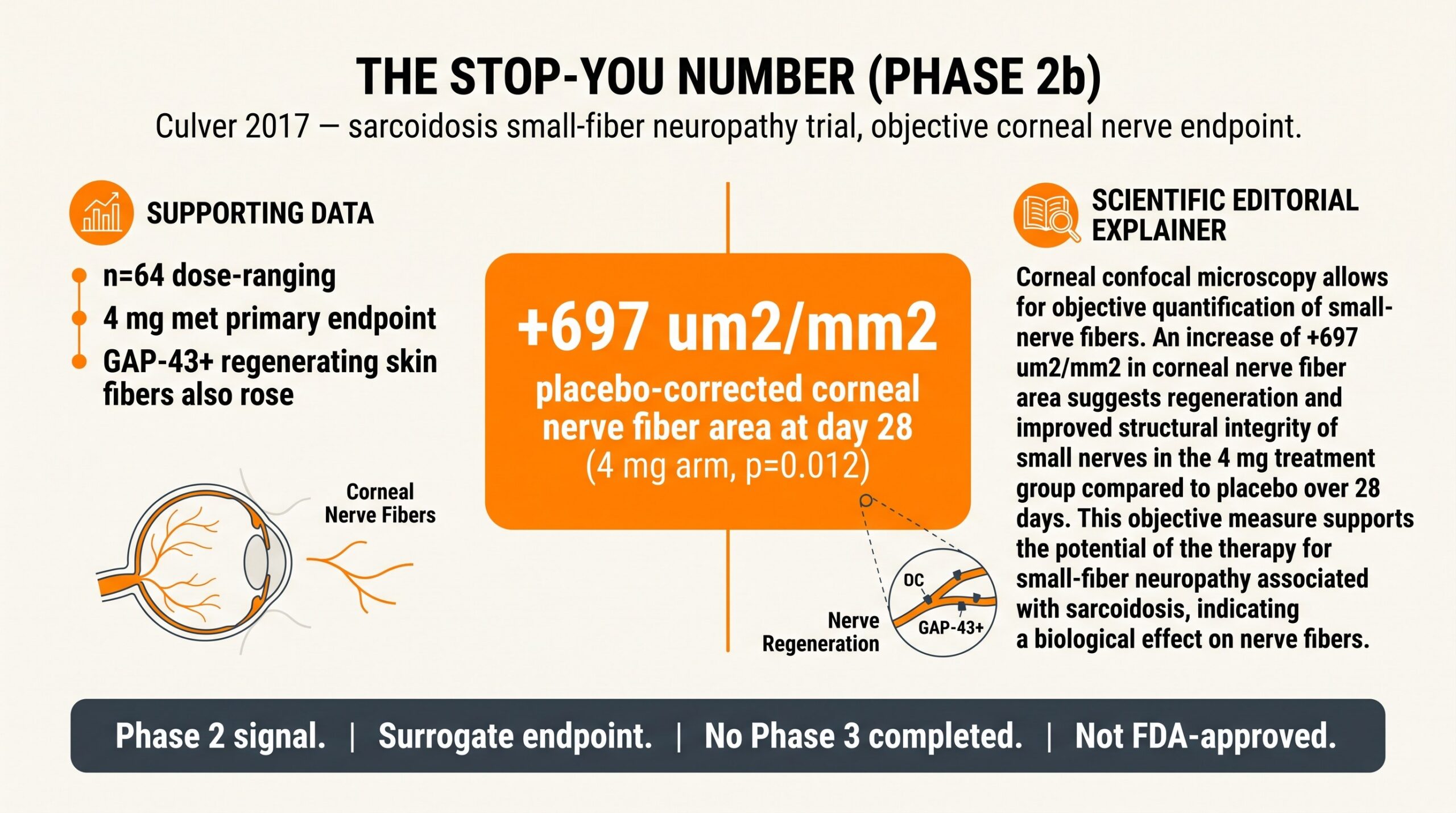 Teaching diagram highlighting Culver 2017 Phase 2b stop-you number: plus 697 square micrometers per square millimeter placebo-corrected corneal nerve fiber area at day 28.