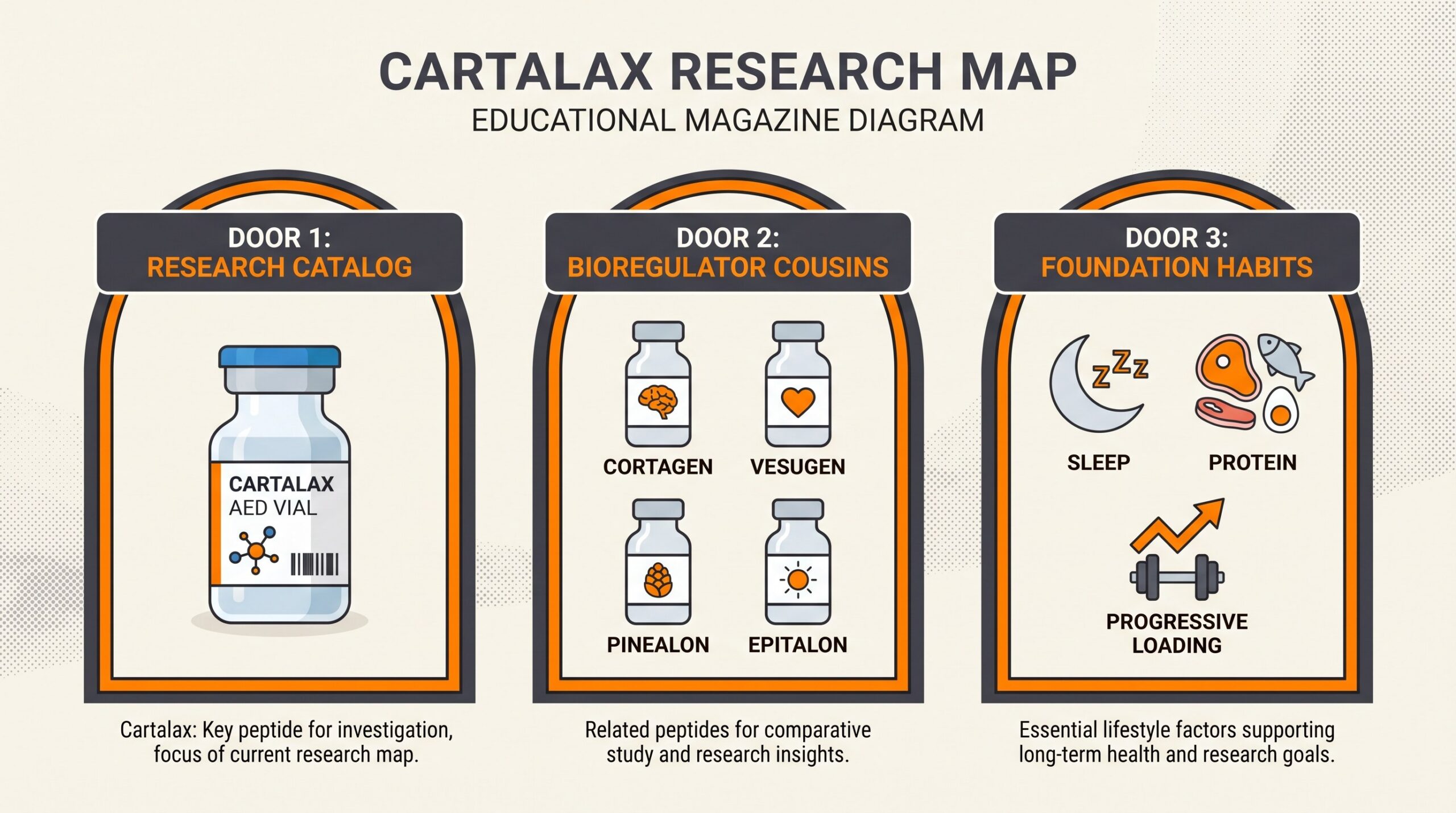 Three doors comparison for Cartalax: research catalog AED vial, bioregulator cousin maps, and foundation habits.