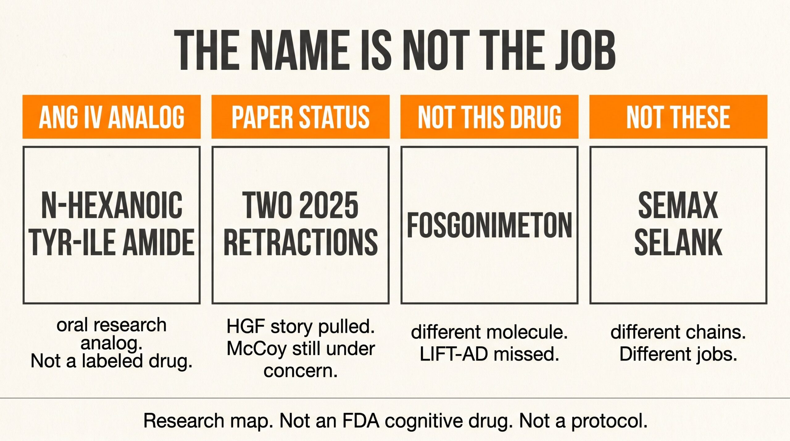 Teaching diagram of four Dihexa research lanes: angiotensin IV analog, two 2025 retractions, not fosgonimeton, and not Semax or Selank.
