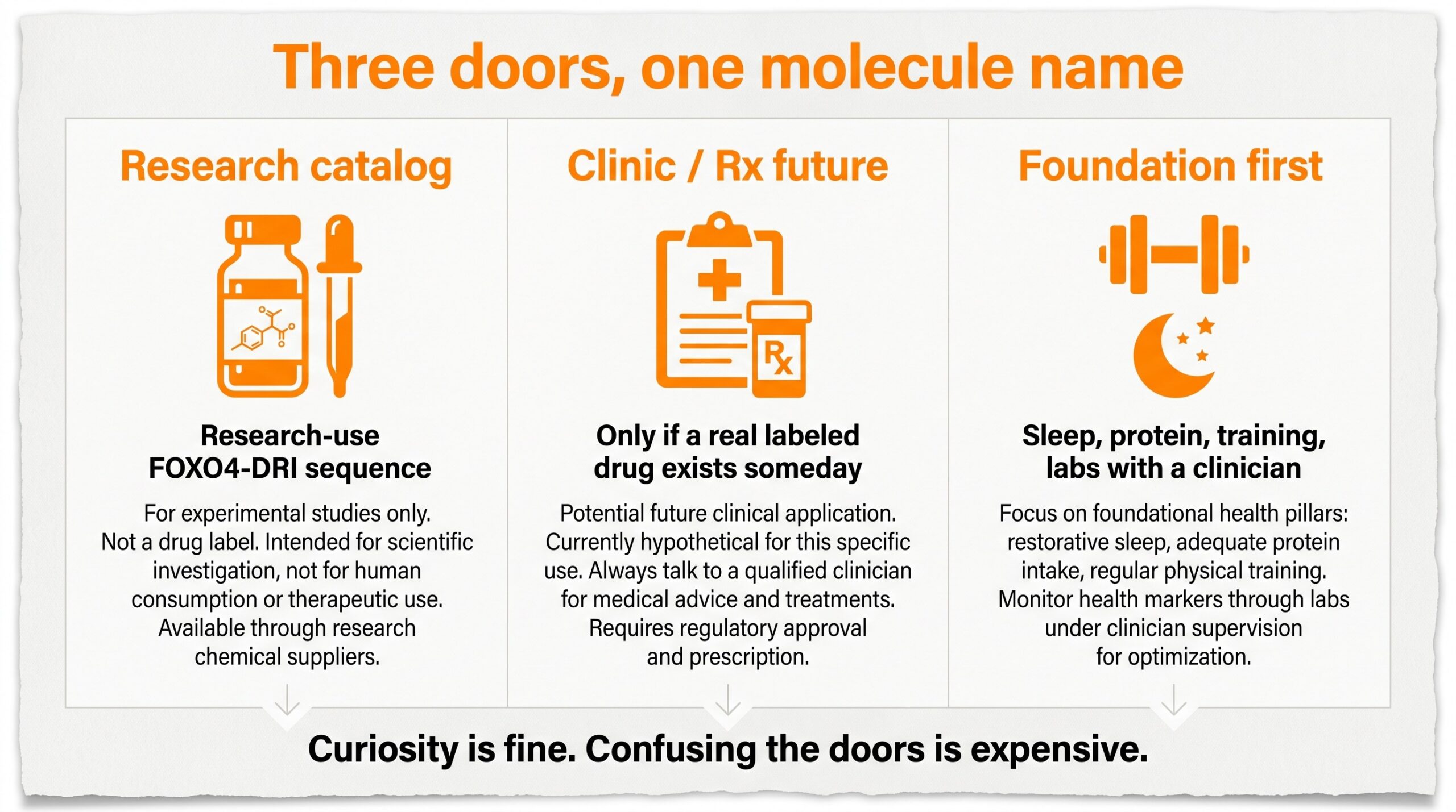 Three doors comparison: research catalog vial, clinic or future Rx clipboard, and foundation habits with training and sleep.