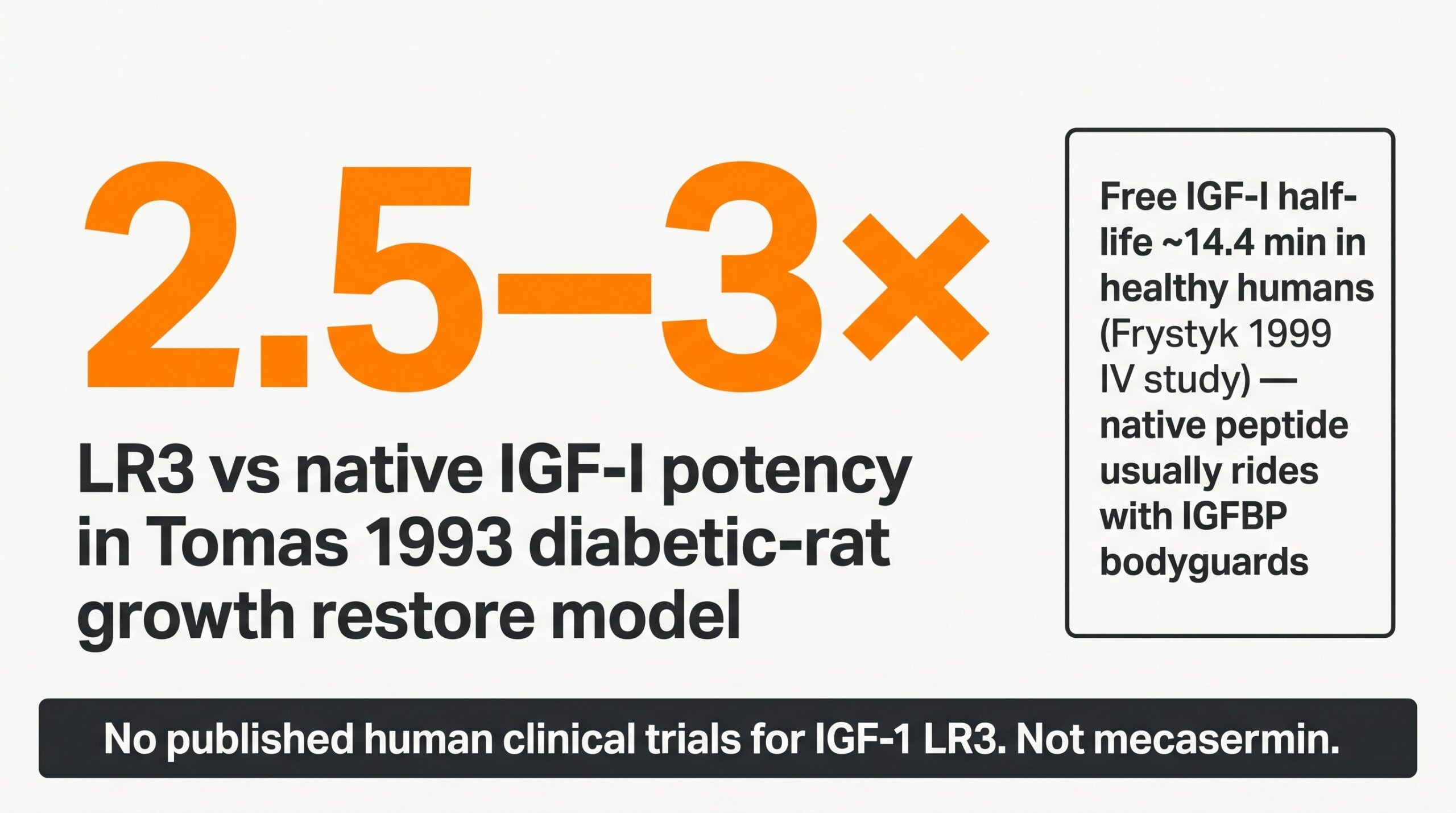 Teaching diagram highlighting Tomas 1993 stop-you number: LR3 about 2.5 to 3 times more potent than native IGF-I in diabetic-rat growth restore model, plus free IGF-I half-life honesty.
