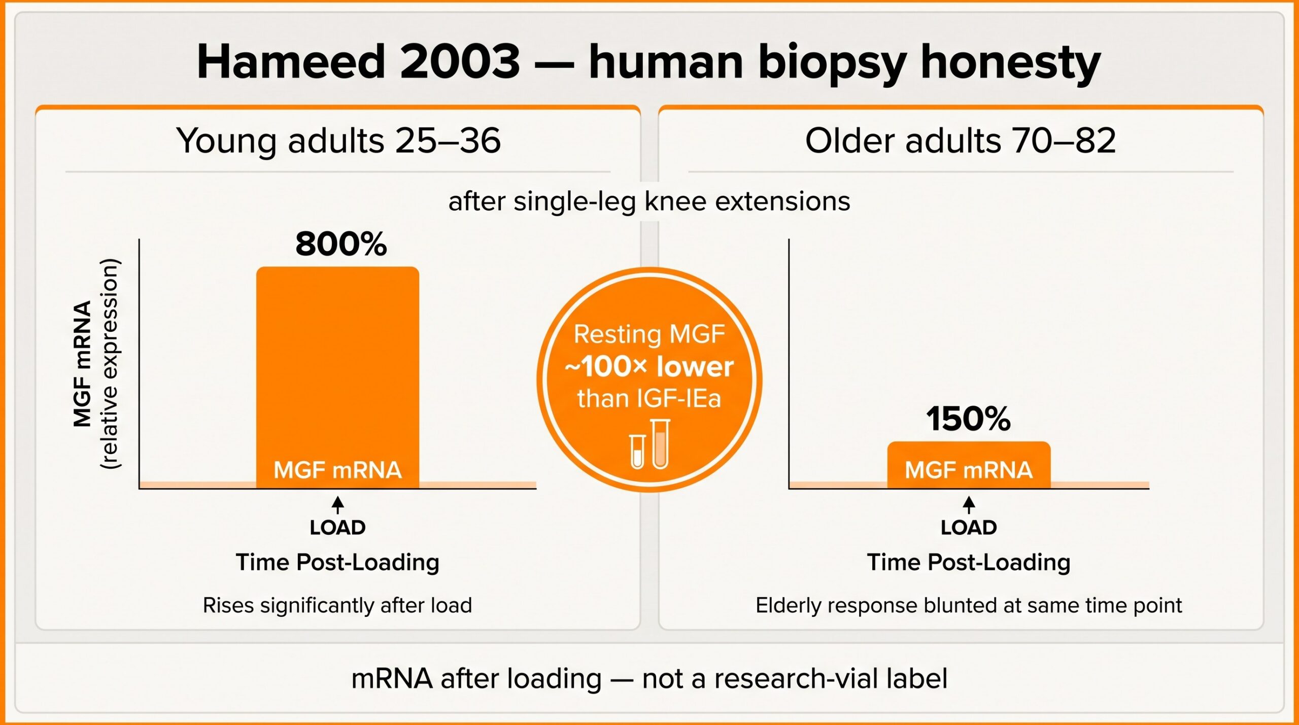 Teaching diagram highlighting Hameed 2003: young muscle MGF mRNA rises after high-resistance exercise while elderly response is blunted, with resting MGF about 100-fold lower than IGF-IEa.