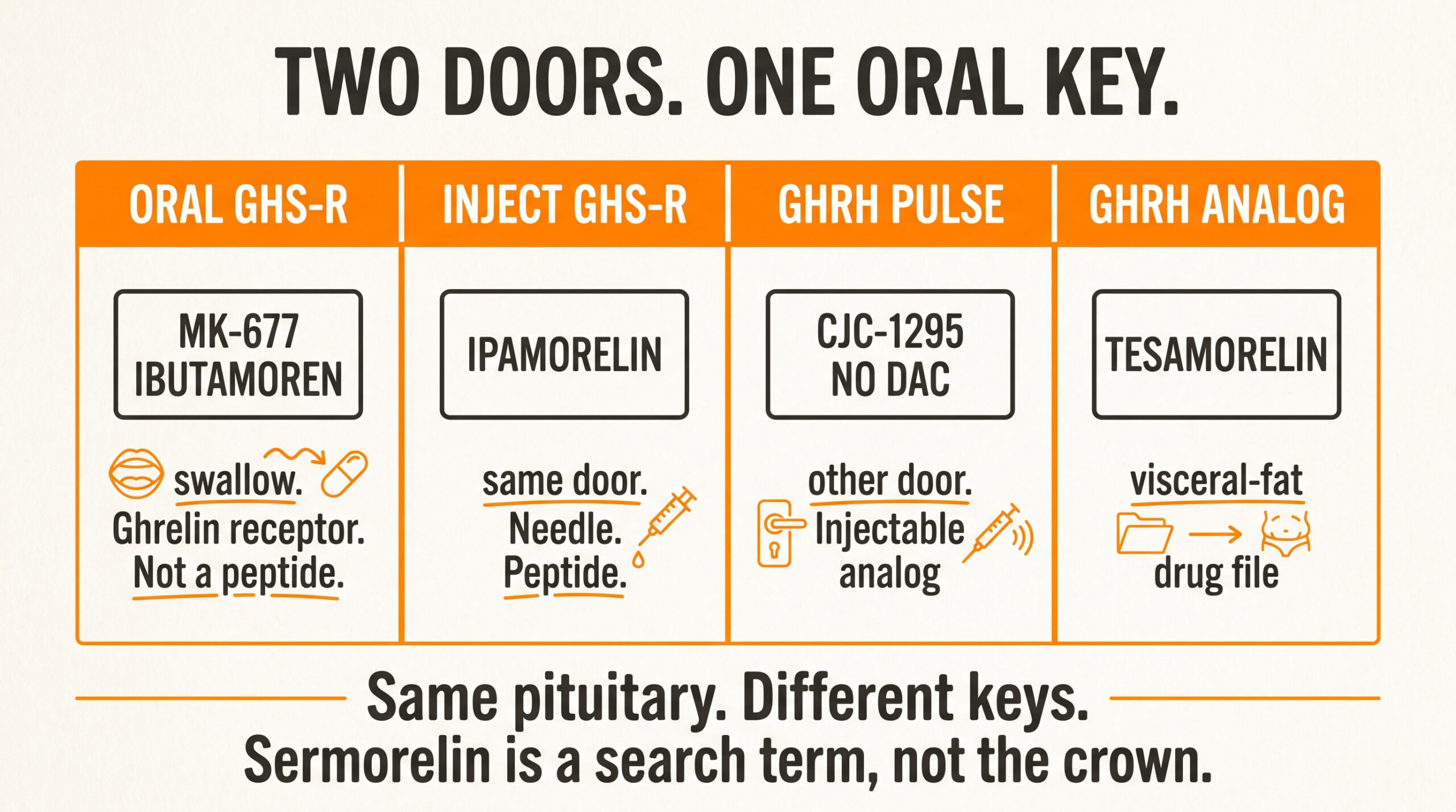 Teaching diagram of MK-677 vs injectable GH secretagogues: oral ibutamoren on the ghrelin receptor, injectable ipamorelin on the same door, CJC-1295 no DAC on the GHRH door, tesamorelin as a GHRH analog with a visceral-fat file.