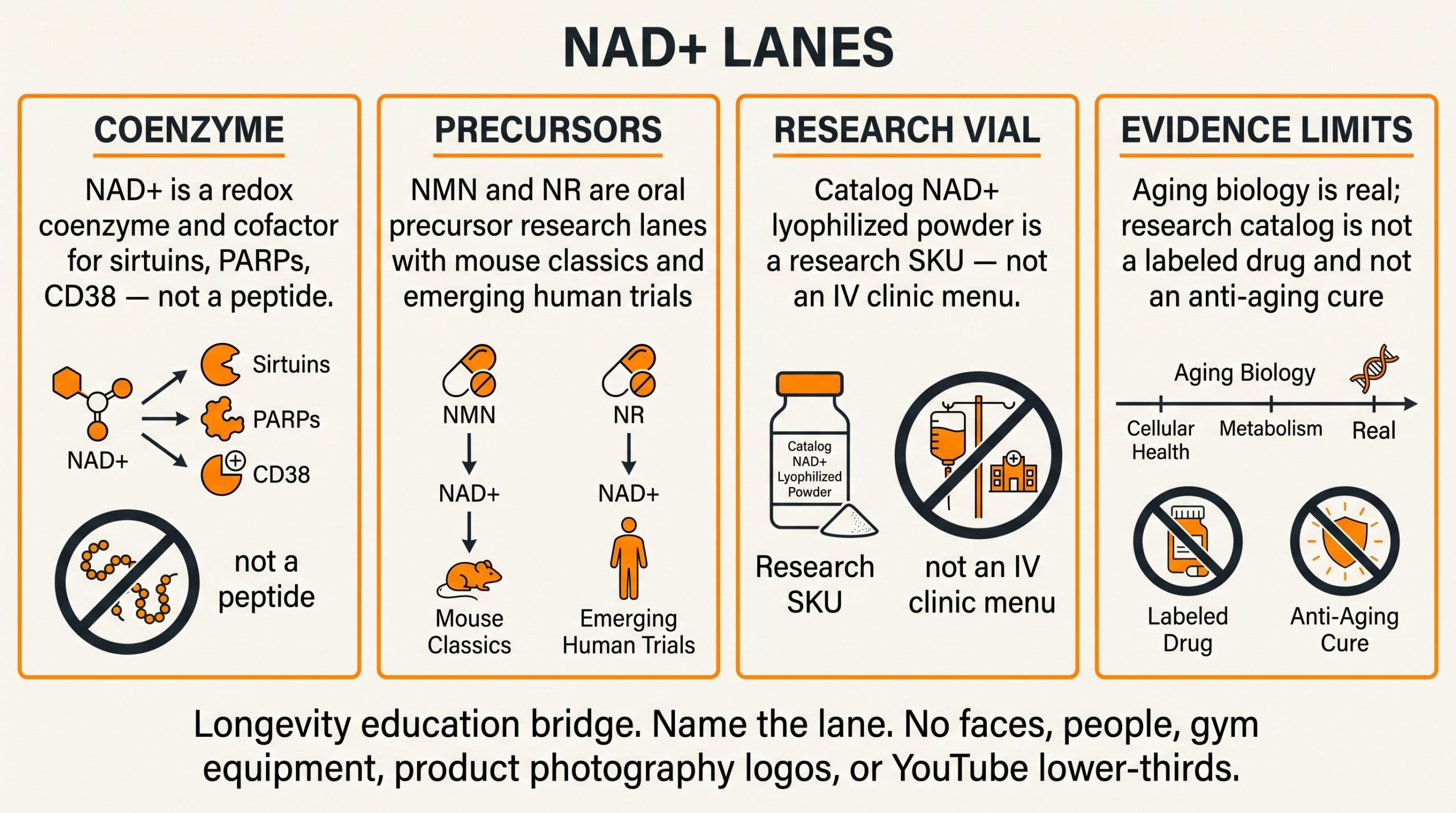 Teaching diagram of NAD+ lanes: coenzyme biology, NMN/NR precursor research, research-catalog vial, and evidence limits versus anti-aging cure claims.