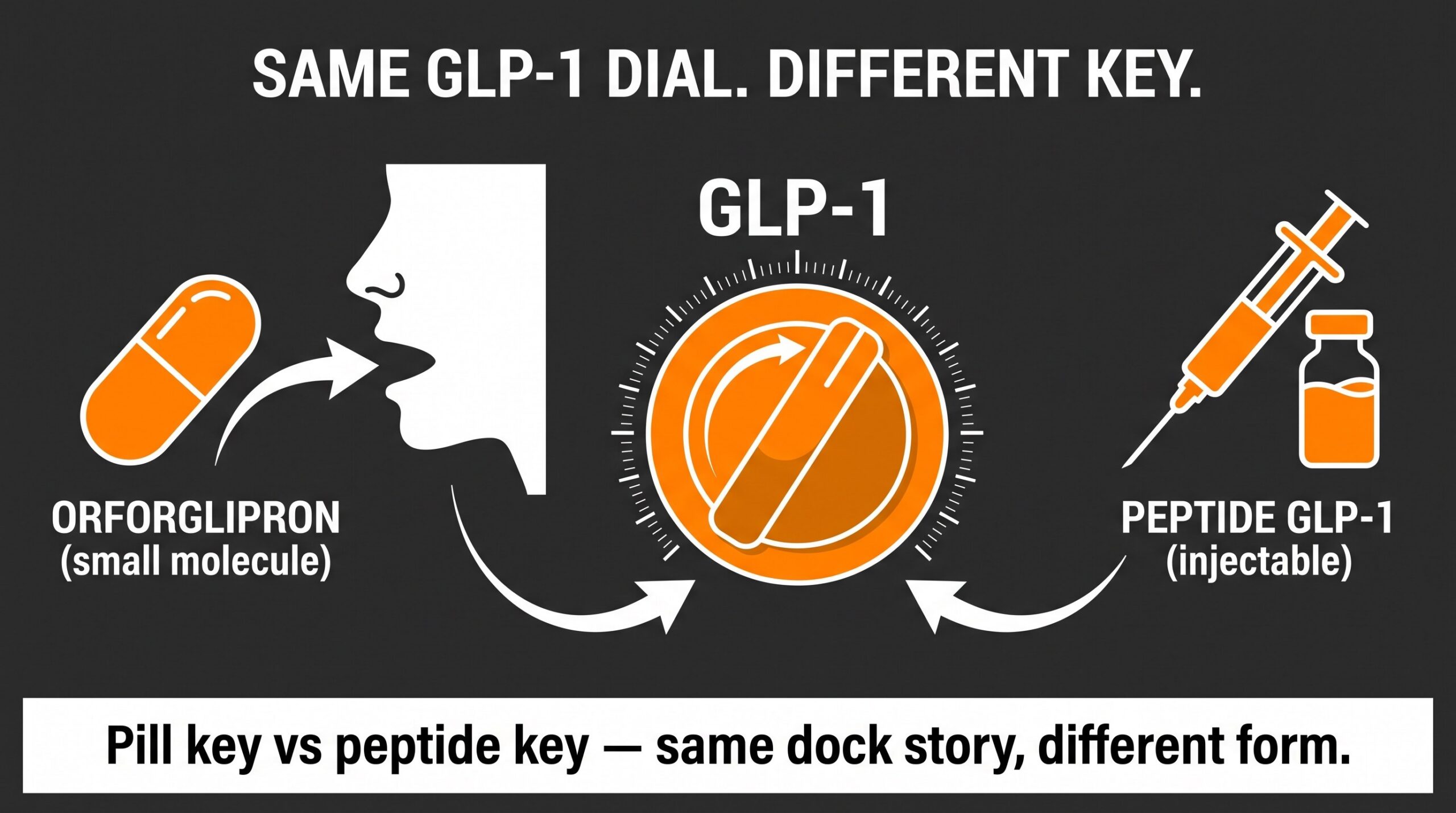 Teaching diagram: orforglipron pill key versus injectable peptide GLP-1 key on the same GLP-1 dial.