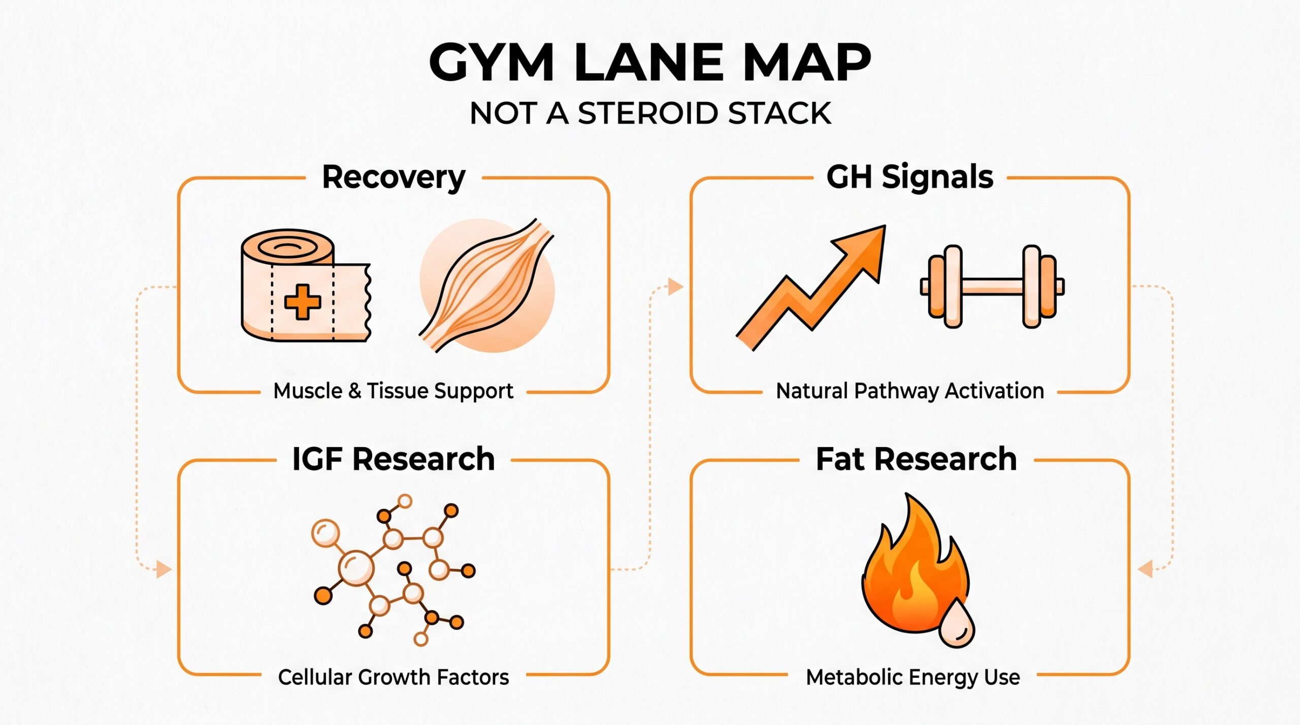 Teaching diagram: bodybuilding peptides gym lane map — recovery, GH signals, IGF research, fat research — not a steroid stack.