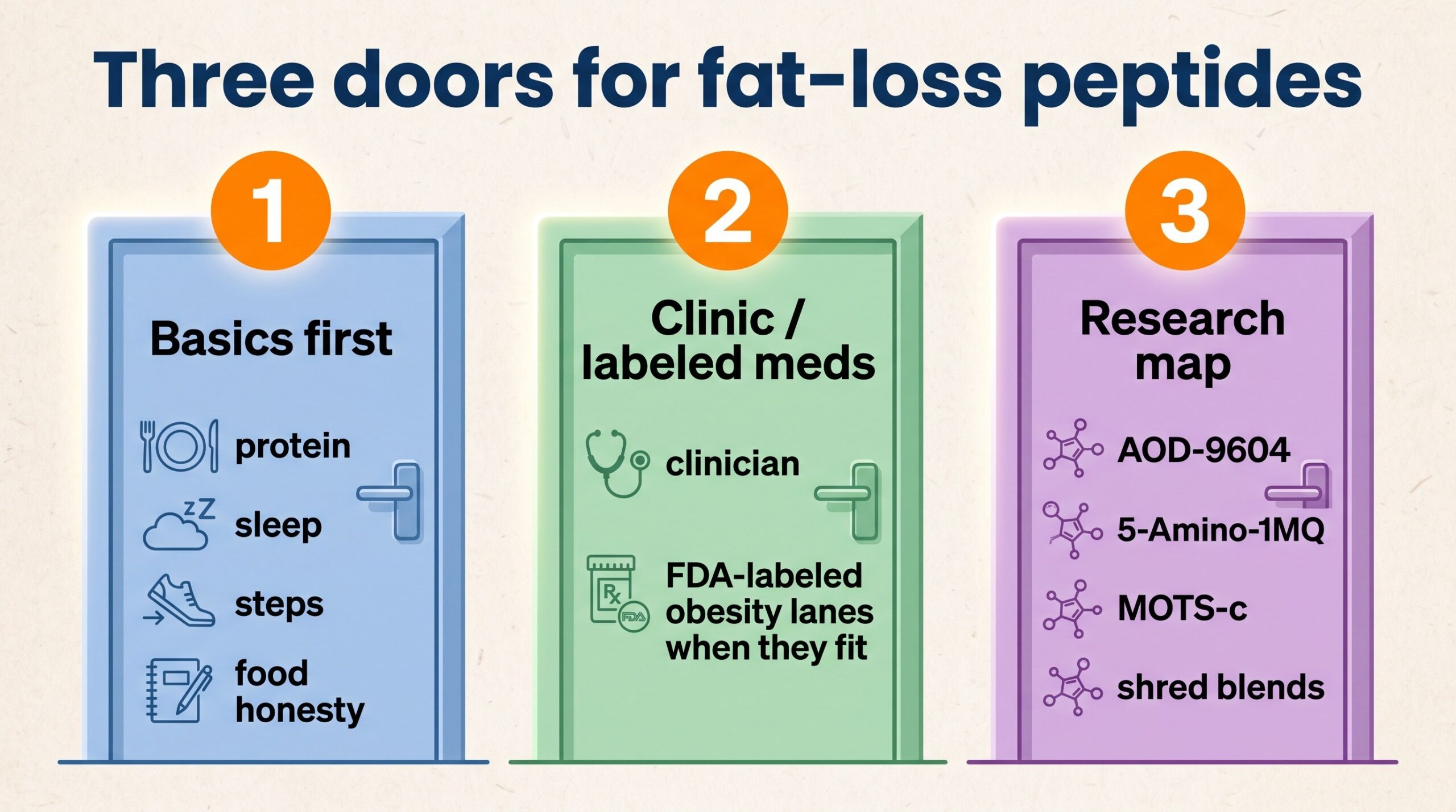 Teaching diagram: three doors for fat-loss peptides — basics first, clinic or labeled meds, and research map.
