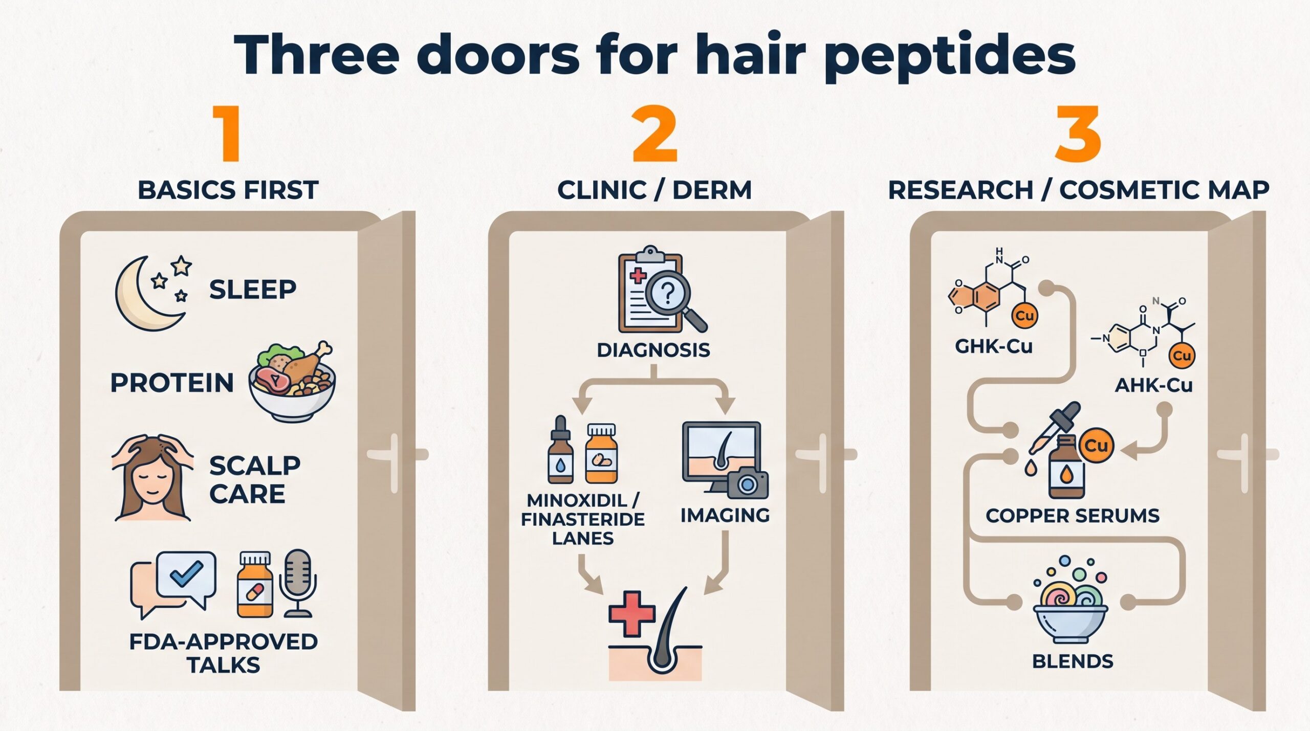 Teaching diagram: three doors for hair peptides — basics first, clinic or dermatologist, and research or cosmetic map.