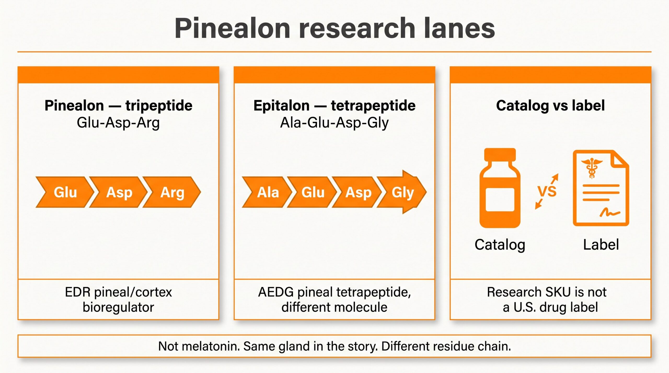 Teaching diagram of three Pinealon research lanes: EDR tripeptide Glu-Asp-Arg, Epitalon AEDG tetrapeptide, and research-catalog vials versus FDA drug labels.