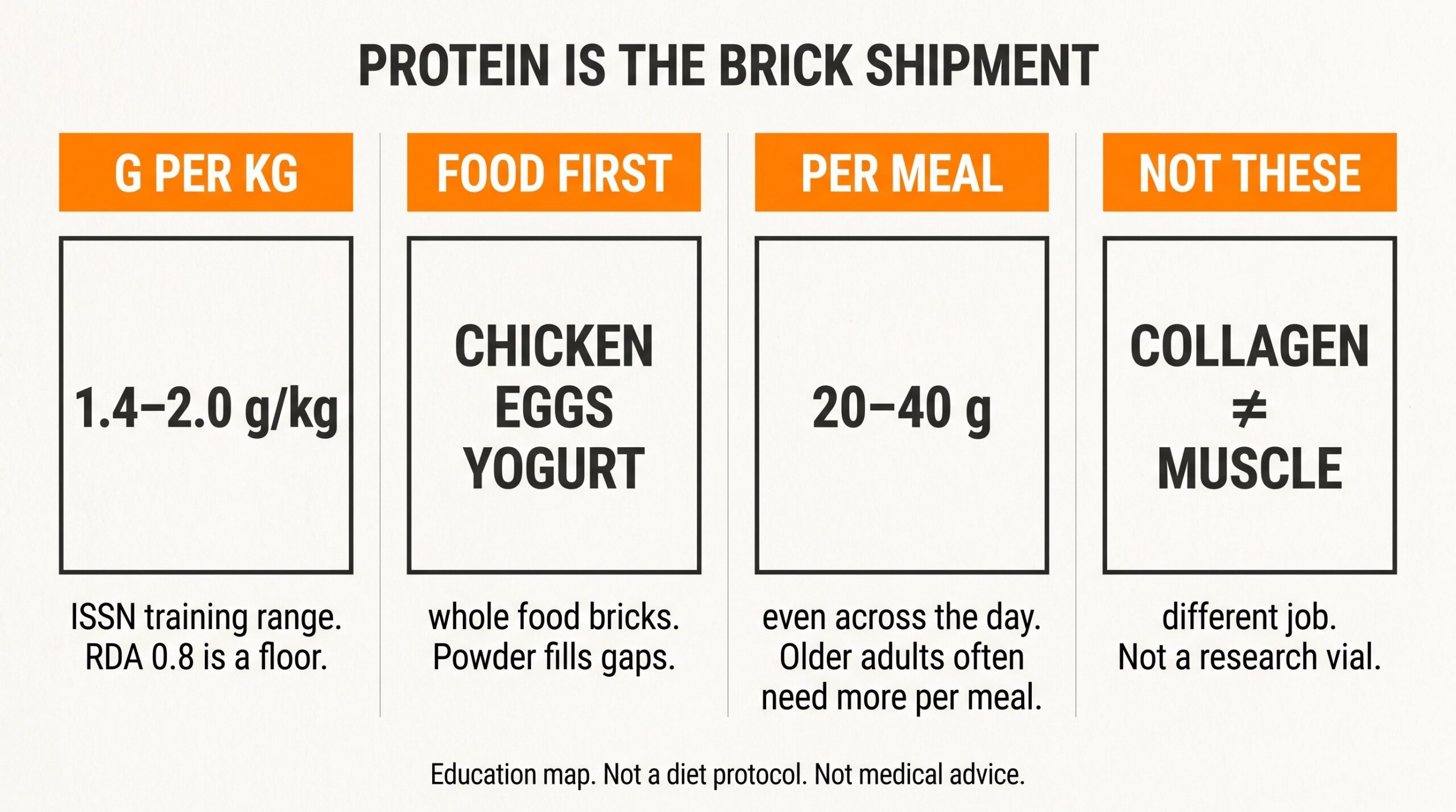Teaching diagram of protein intake levers: grams per kilogram, food first, per-meal 20 to 40 grams, and collagen as a different job from muscle protein.
