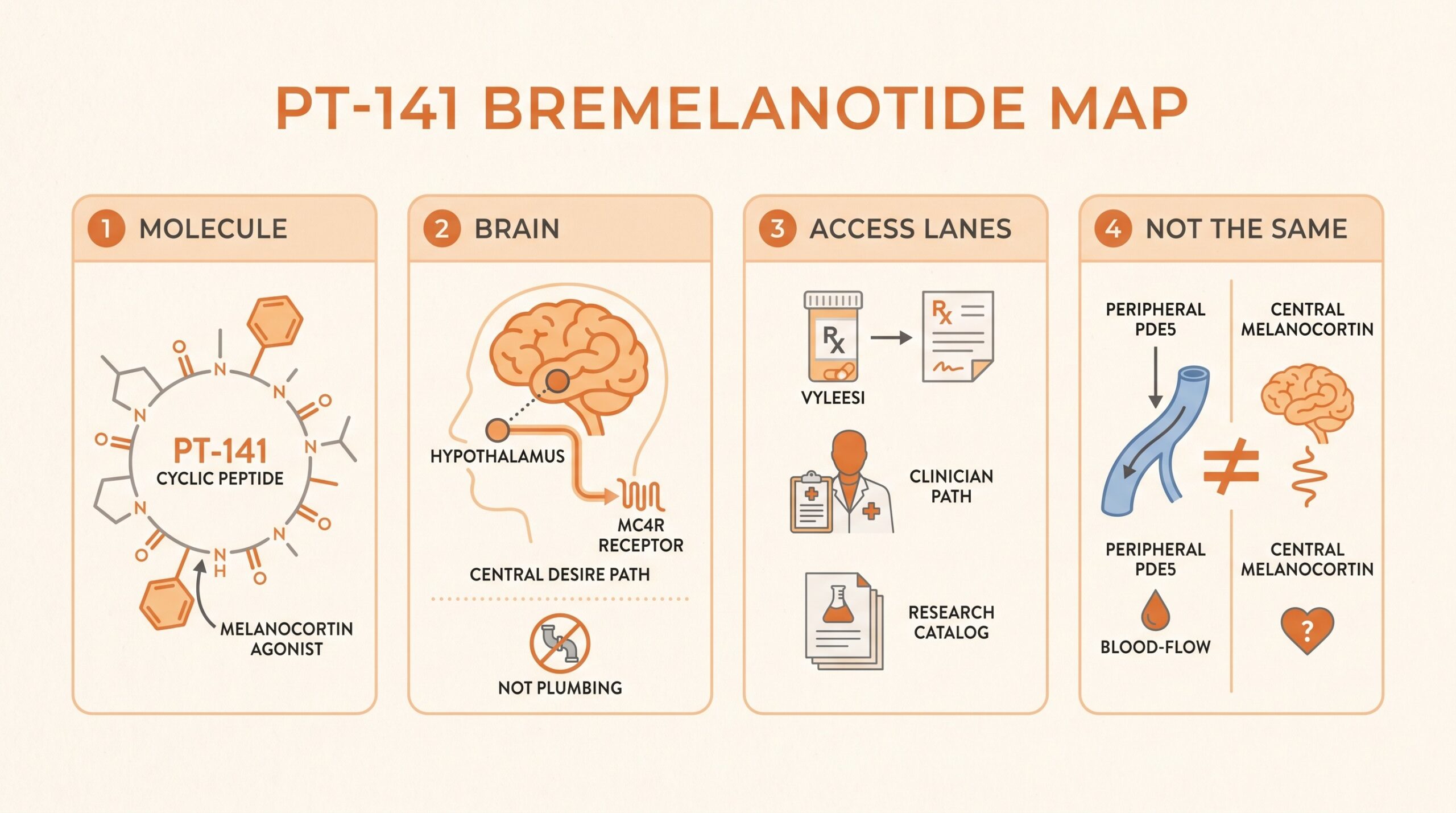Teaching diagram of PT-141 / bremelanotide: melanocortin agonist molecule, central MC4R desire path, access lanes (approved Rx Vyleesi vs clinician path vs research catalog), and PDE5 peripheral path vs central melanocortin path.