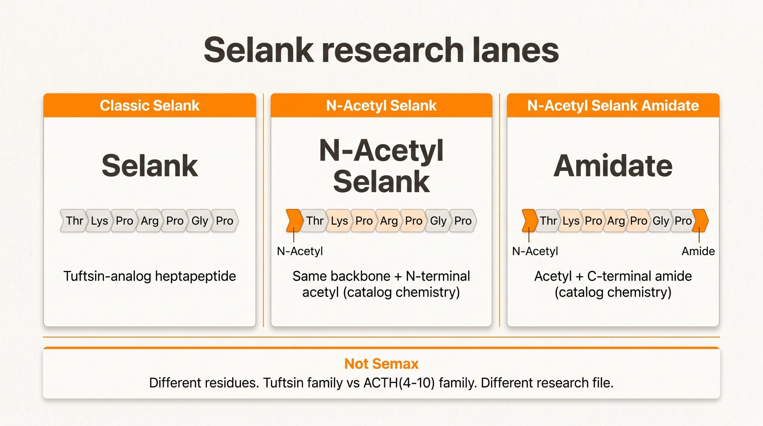 Teaching diagram of three Selank research lanes: classic Selank heptapeptide, N-Acetyl Selank, and N-Acetyl Selank Amidate versus Semax and research-catalog versus drug labels.