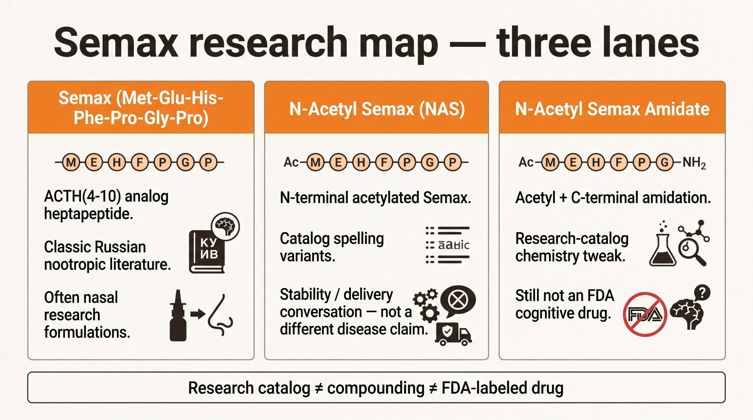 Teaching diagram of three Semax research lanes: classic Semax heptapeptide, N-Acetyl Semax, and N-Acetyl Semax Amidate versus research-catalog versus drug labels.