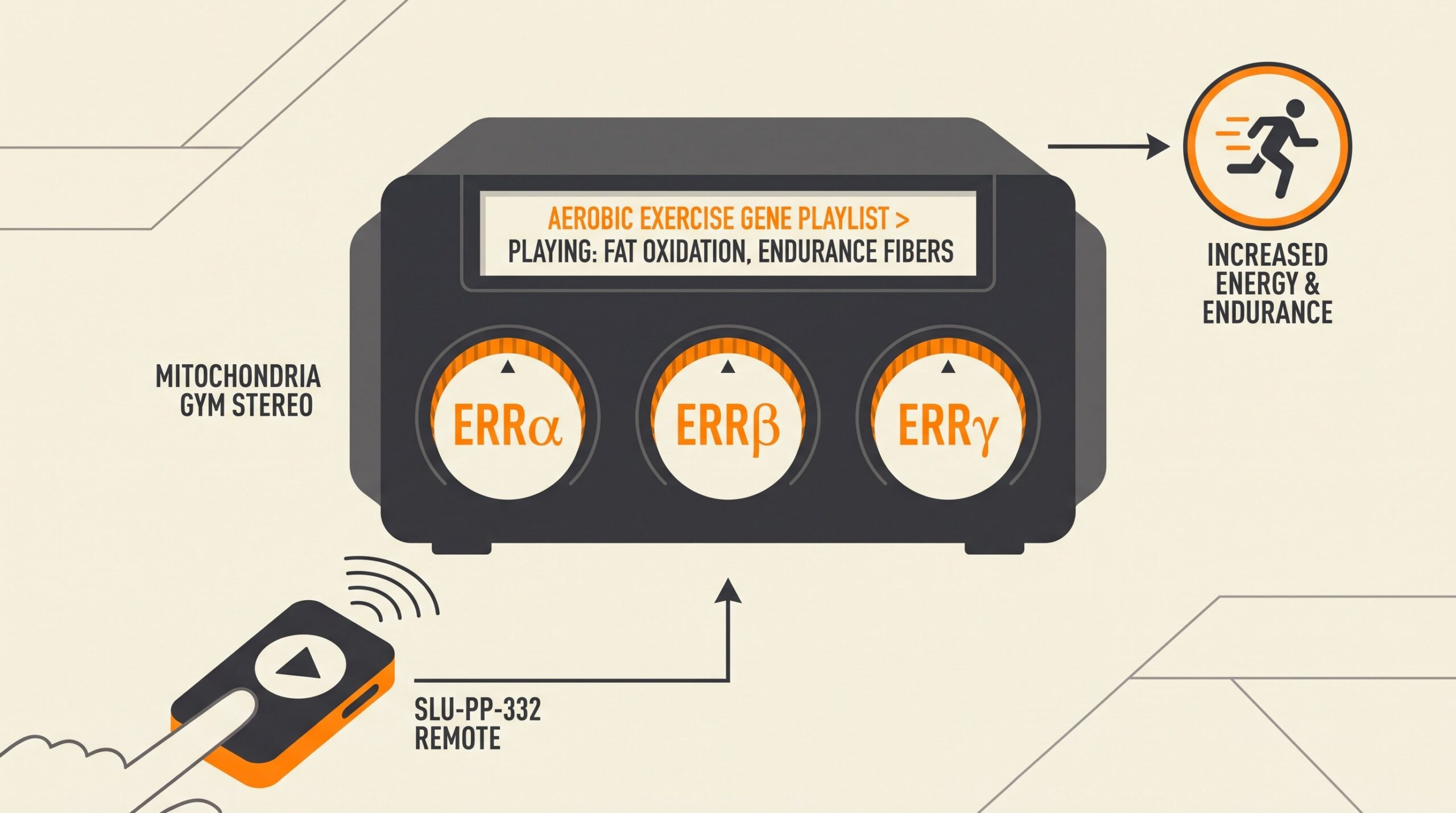 Teaching diagram: SLU-PP-332 as a remote pressing play on mitochondrial ERRα/β/γ aerobic exercise gene playlist.