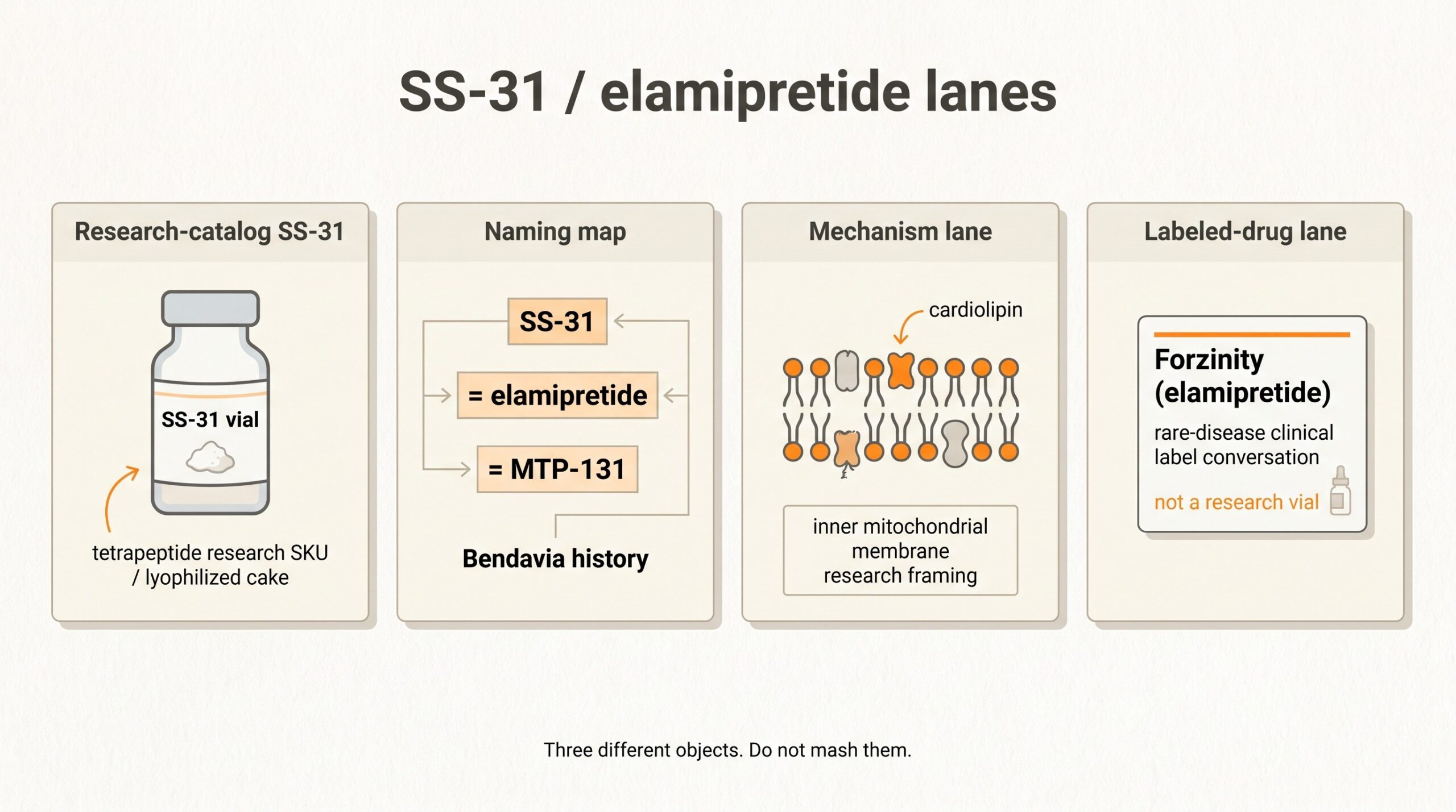 Teaching diagram of SS-31 / elamipretide lanes: research-catalog vial, naming map (SS-31 = elamipretide = MTP-131 / Bendavia), cardiolipin mechanism framing, and Forzinity labeled-drug lane versus research vial.