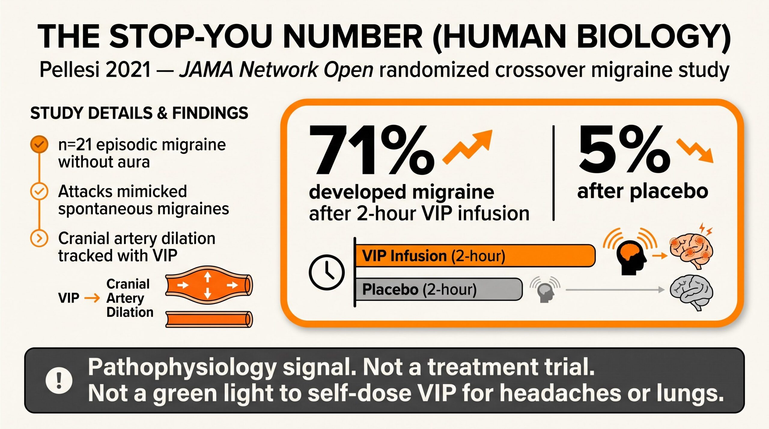 Teaching diagram highlighting Pellesi 2021 stop-you number: 71 percent migraine after two-hour VIP infusion versus 5 percent after placebo.