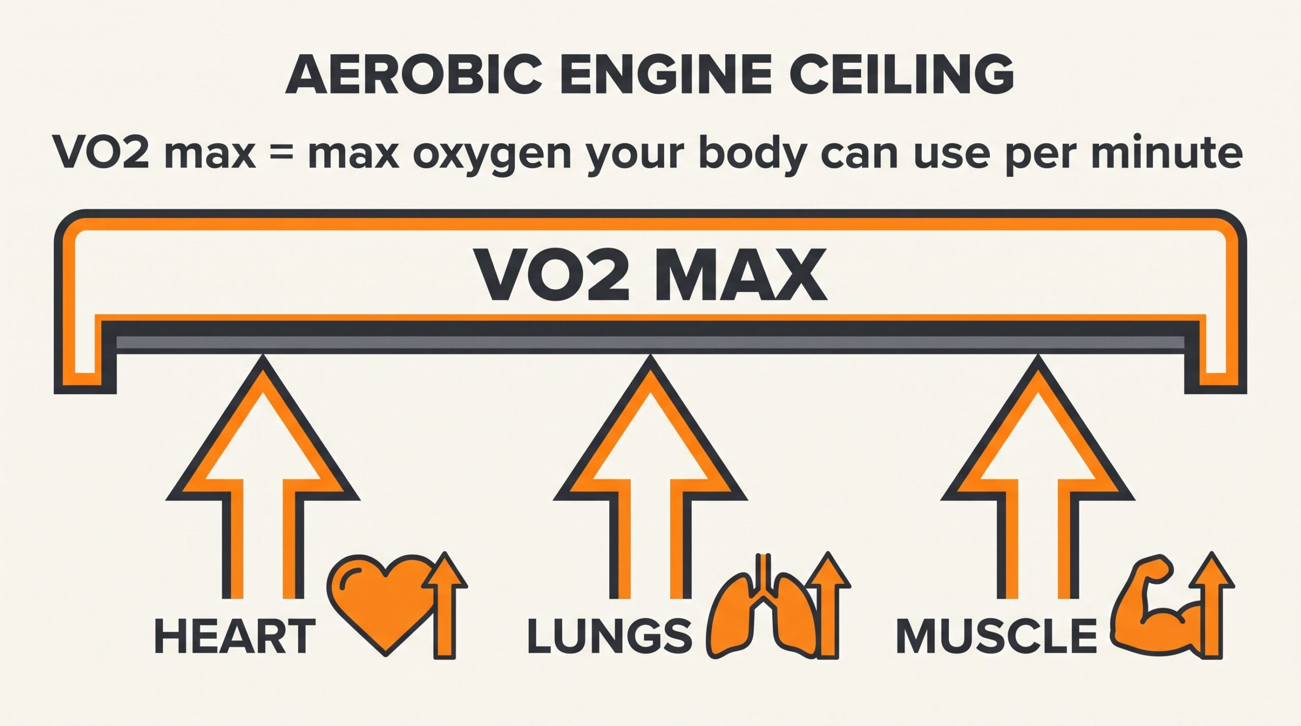 Teaching diagram: VO2 max as an aerobic engine ceiling fed by heart pump, lung exchange, and muscle use.