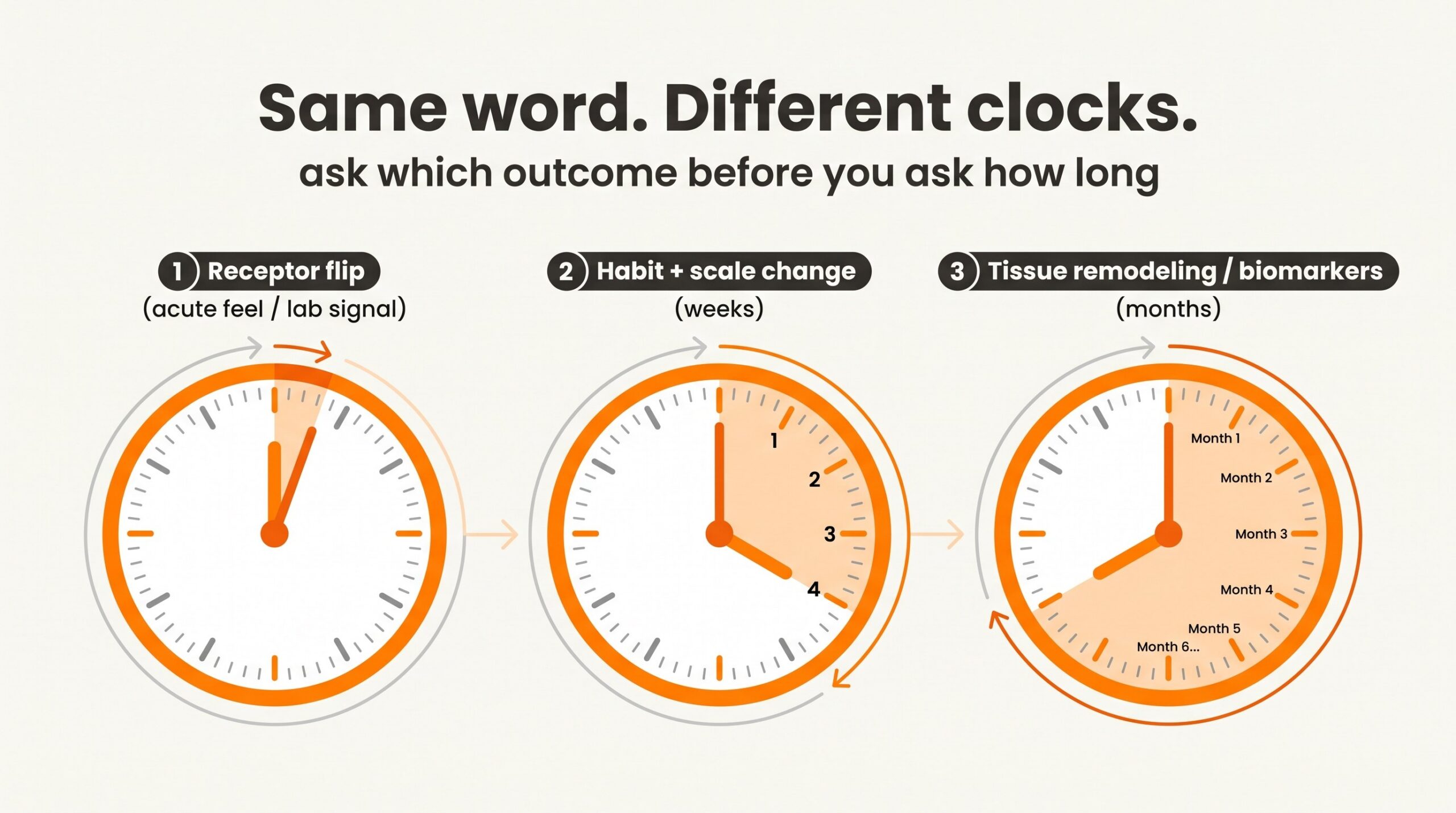 Teaching diagram: three clocks for peptide outcomes